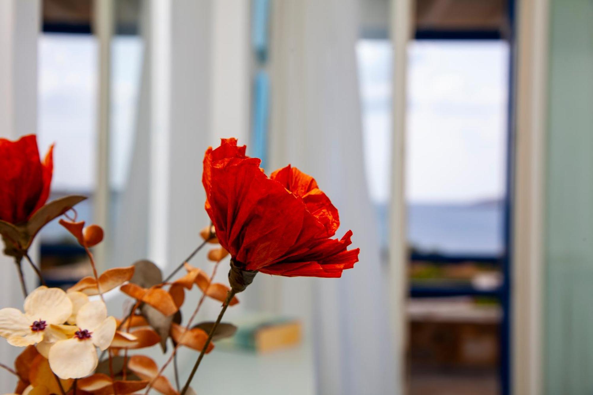 Aura Paros Apartman Logarász Kültér fotó